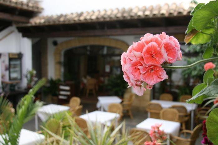 Hostal Torre de Guzmán Conil De La Frontera Exterior foto